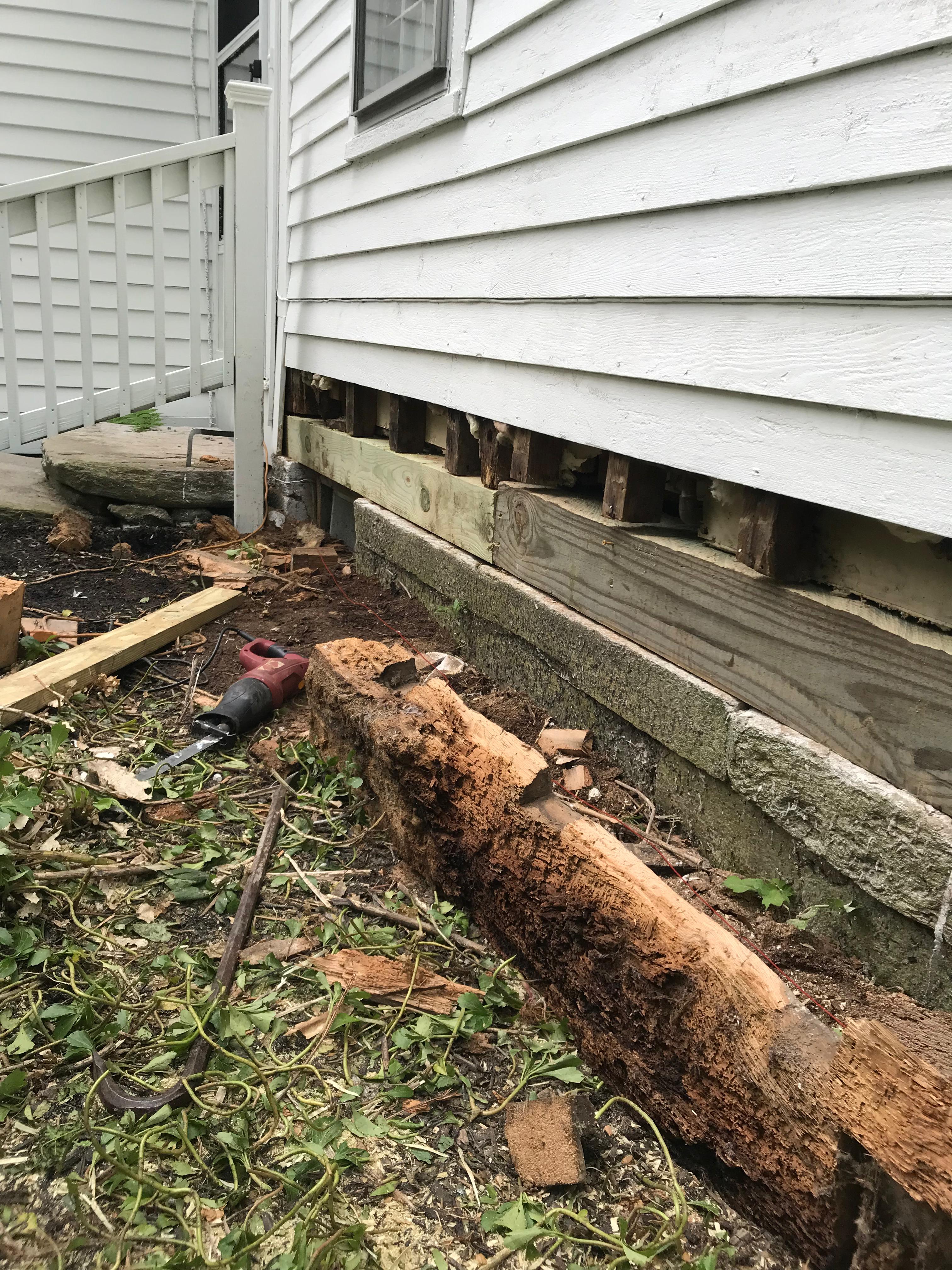 Gallery project thumbnail 12